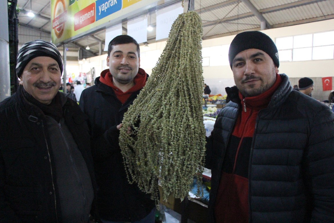 Amasya’da çiçek bamyanın fiyatı gram altını geçti, kilosu 3 bin 500 TL’den satılıyor