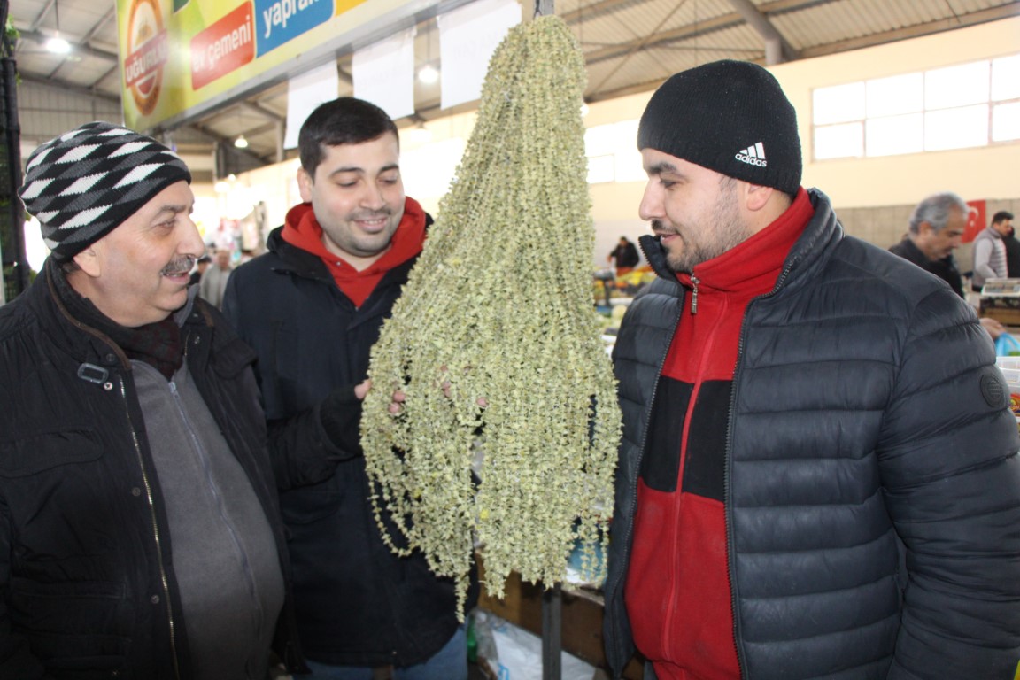 Amasya’da çiçek bamyanın fiyatı gram altını geçti, kilosu 3 bin 500 TL’den satılıyor