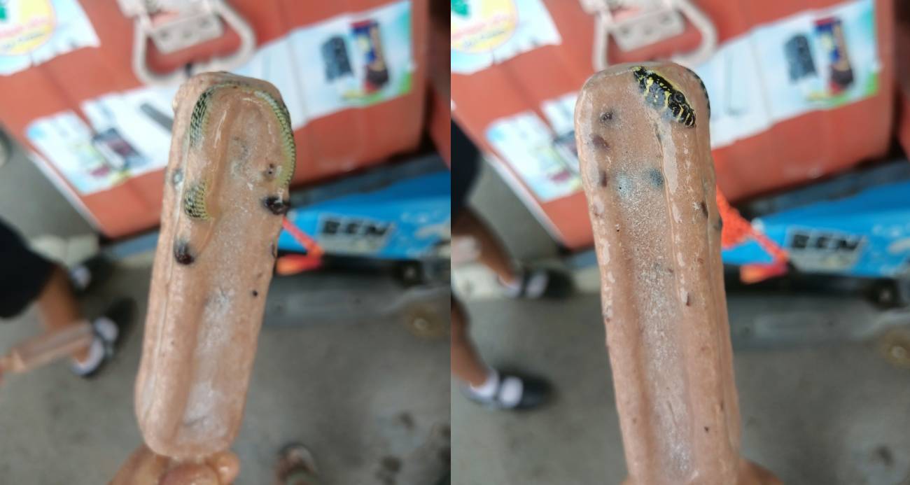 Tayland'da dondurmanın içinden yılan kalıntıları çıktı