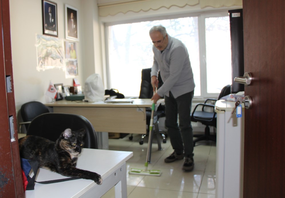 Kedi dostu profesör: Çalışma odasını kedileriyle paylaştı, her gün silip süpürüyor