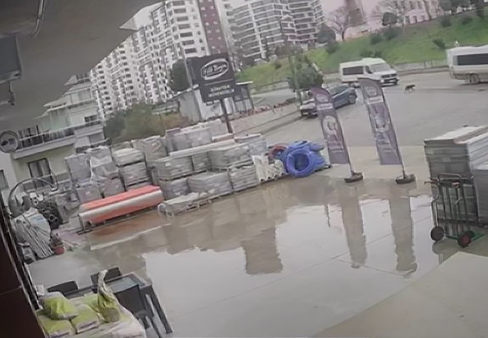 Önce minibüsü ile köpeğin üstünden geçti, sonra hiçbir şey olmamış gibi yoluna devam etti