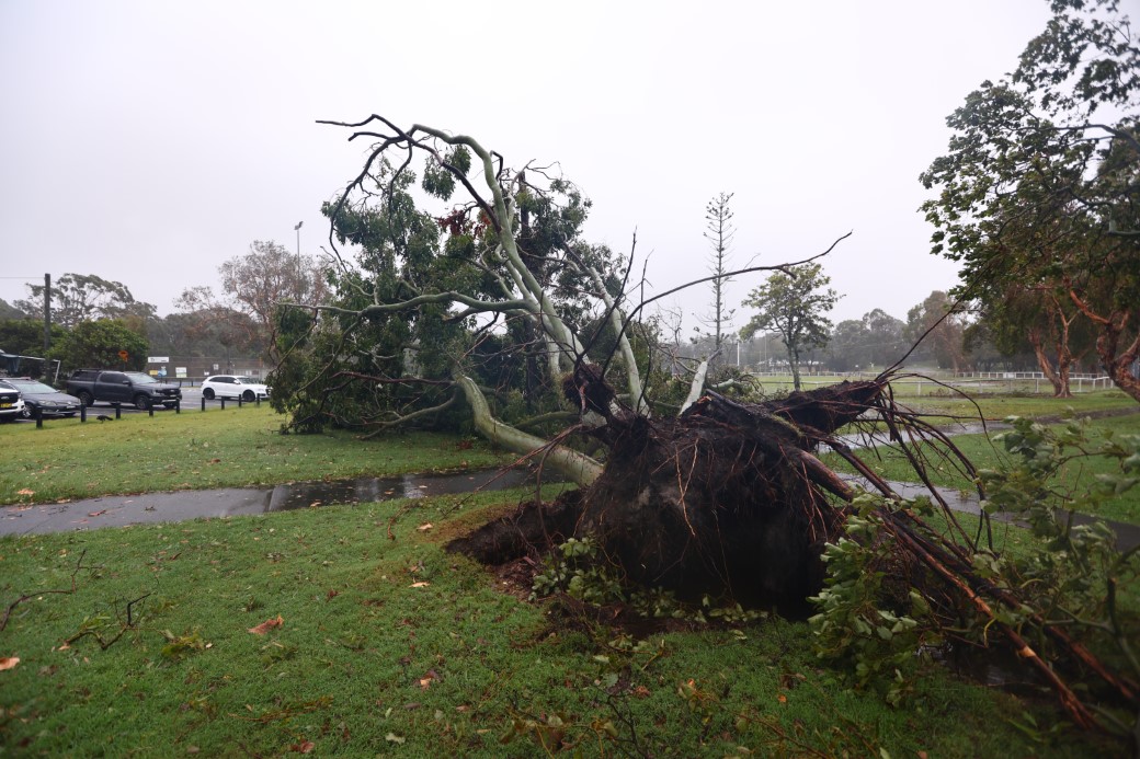 Avustralya'yı Alfred Siklonu vurdu: 1 kişi öldü, 400 binden fazla kişi elektriksiz kaldı