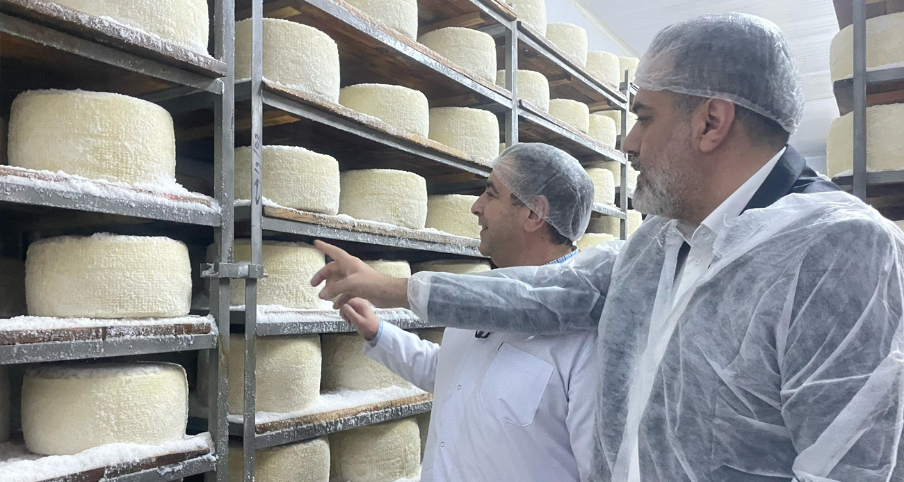 Çadırda başladığı peynir üretiminde dünyaya açıldı
