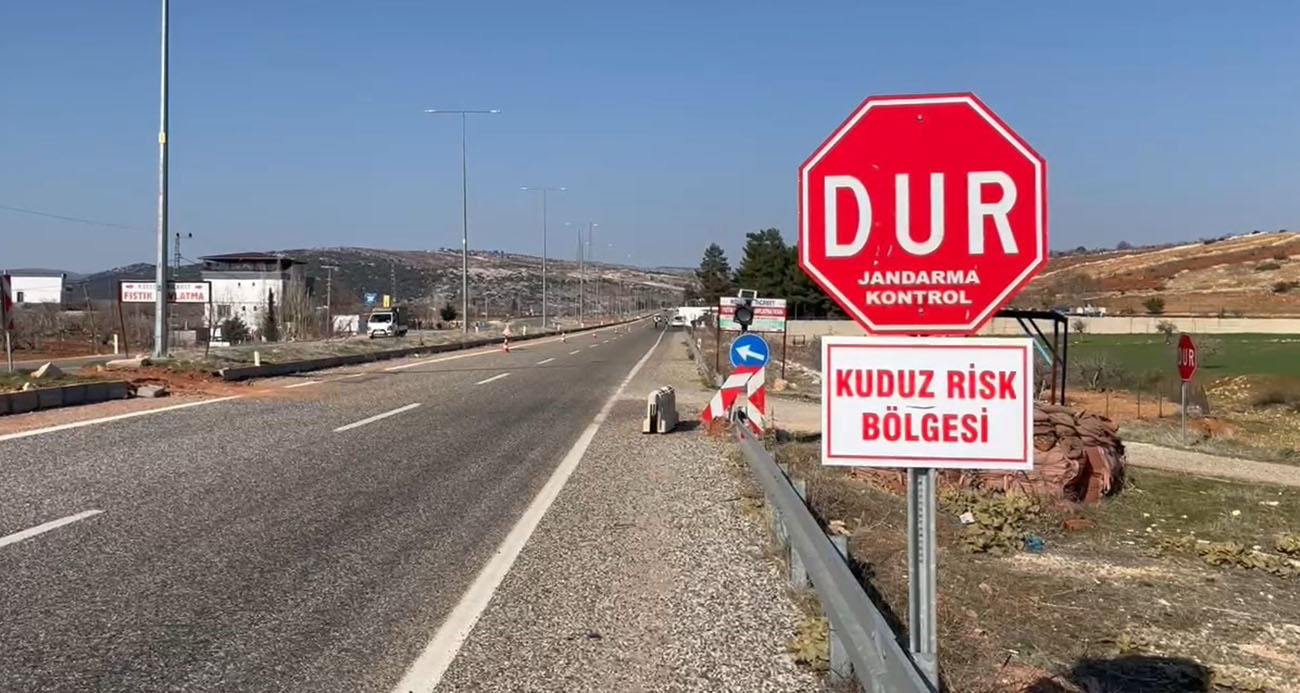 Sahipli köpek kuduz çıktı, belde karantinaya alındı