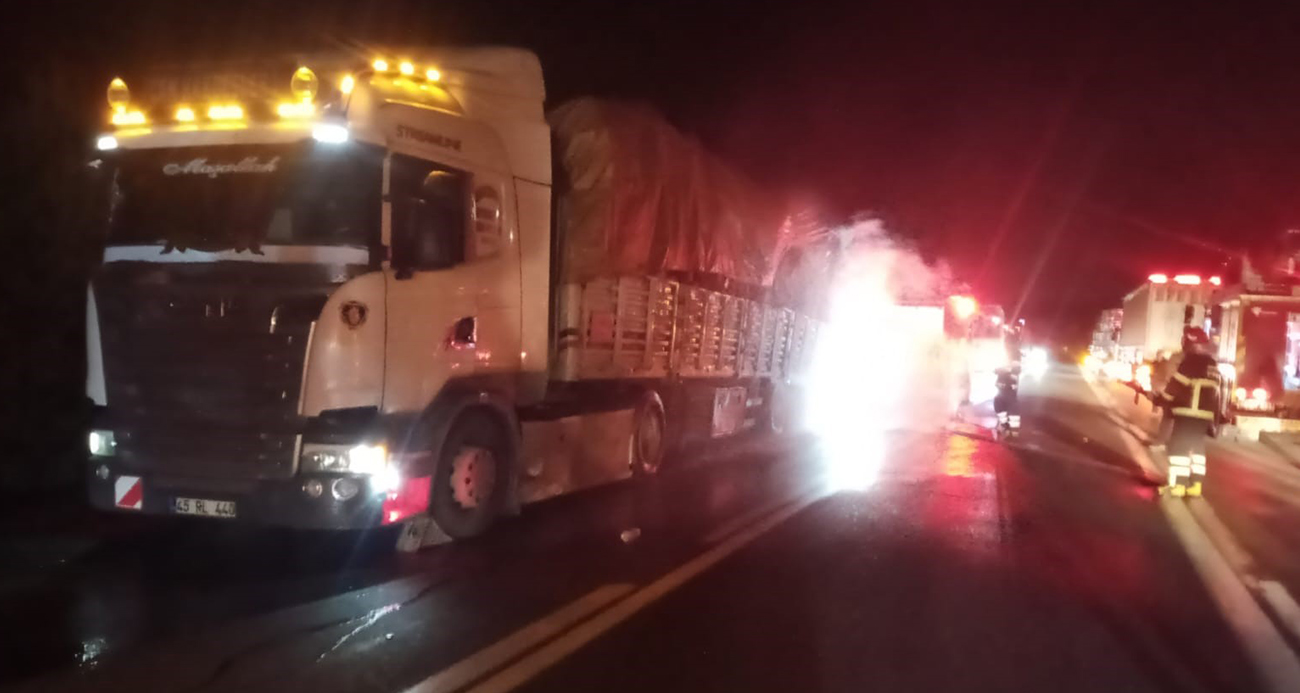 Tomruk yüklü tırın balataları alev aldı: Vatandaş yangını spiker gibi anlattı