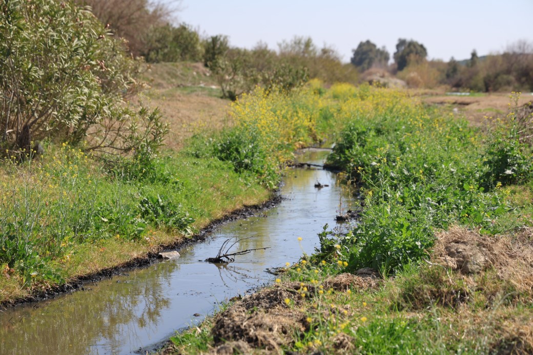 Dere yatakları siyah aktı, mahalle sakinleri kirliliğe tepki gösterdi