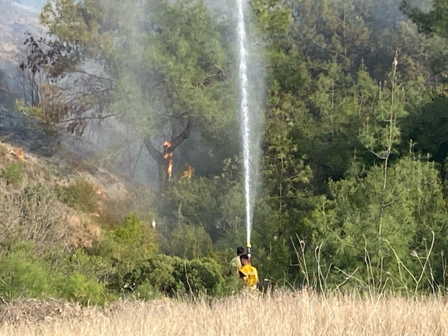 Osmaniye’nin Düziçi ilçesinde çıkan orman yangını söndürüldü