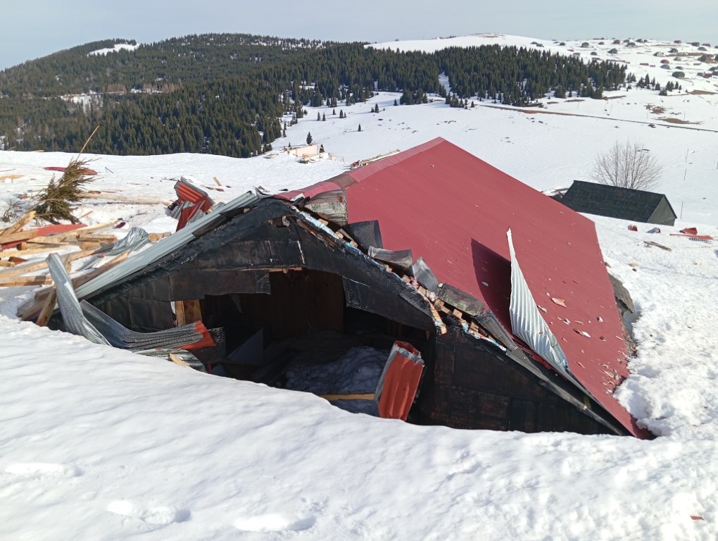 Sis Dağı Yaylası’nda çığ faciası sonrası bu kez de ayı faciası yaşanıyor