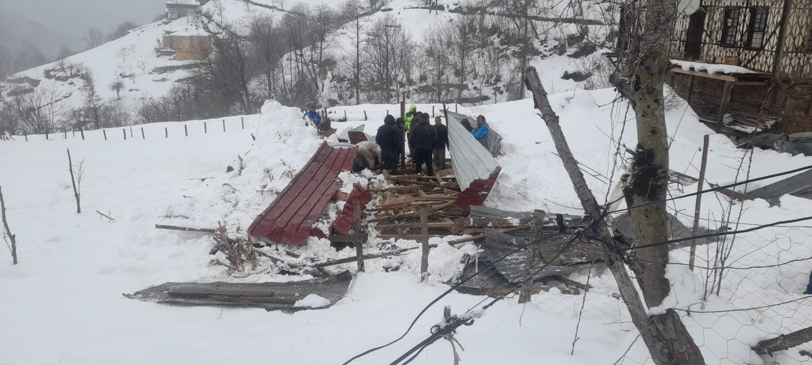 Trabzon’da kar nedeniyle ahırın çatısı çöktü