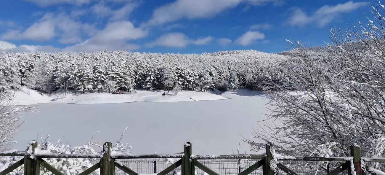 Karlar altındaki Çamlık Milli Parkı göz kamaştırdı