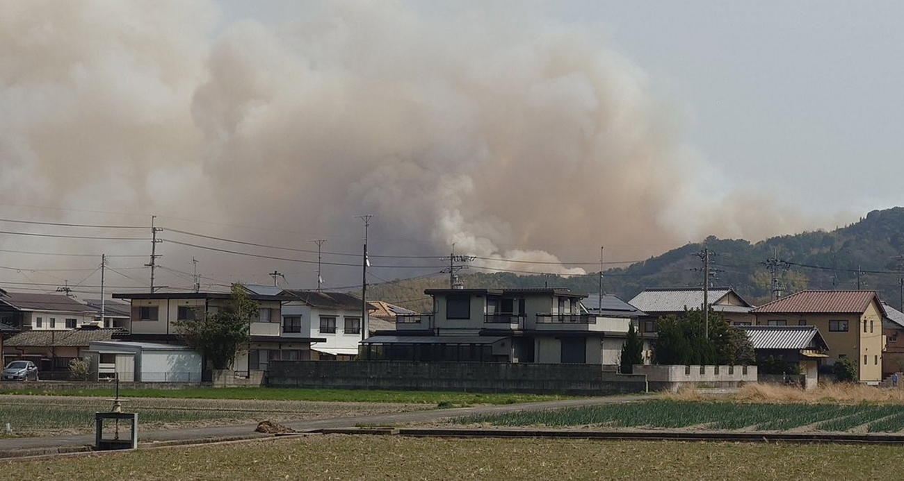 Japonya’daki orman yangınları devam ediyor