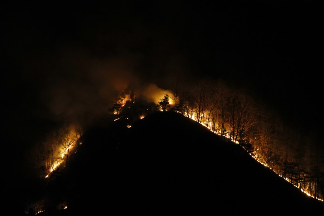 Güney Kore'deki orman yangınlarında ölü sayısı 28'e yükseldi
