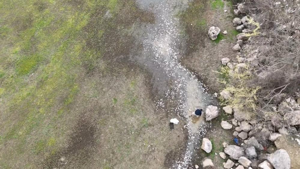 Bursa’da çevre felaketi...