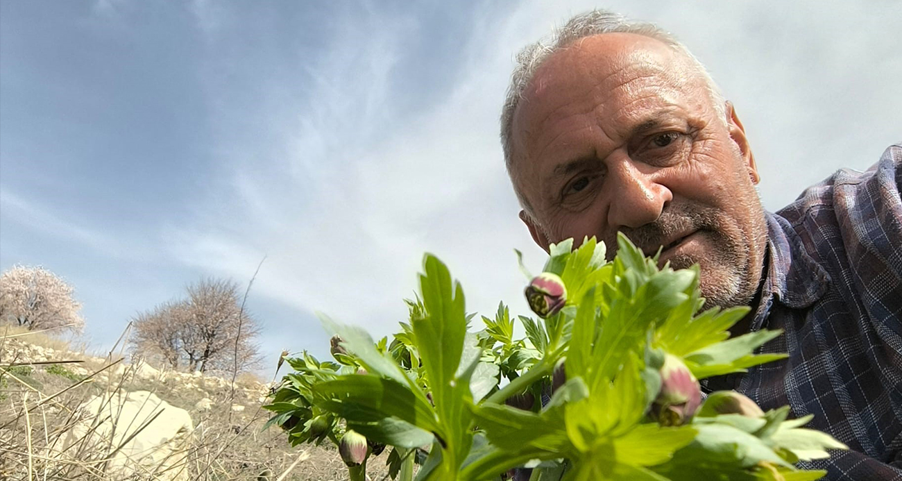 Frekanslarını ölçerek şifalı bitkileri araştırıyor, kayıt altına alıyor