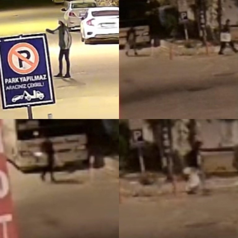 Tatil yapıp, yazlık daireleri soymuşlar