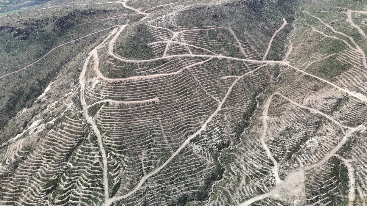 Çanakkale’de yanan ormanlar yangına dayanıklı fidanlarla yeniden yeşerdi