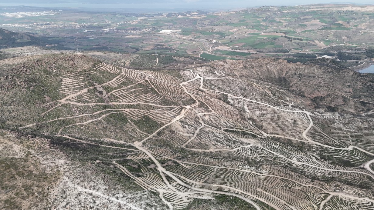 Çanakkale’de yanan ormanlar yangına dayanıklı fidanlarla yeniden yeşerdi