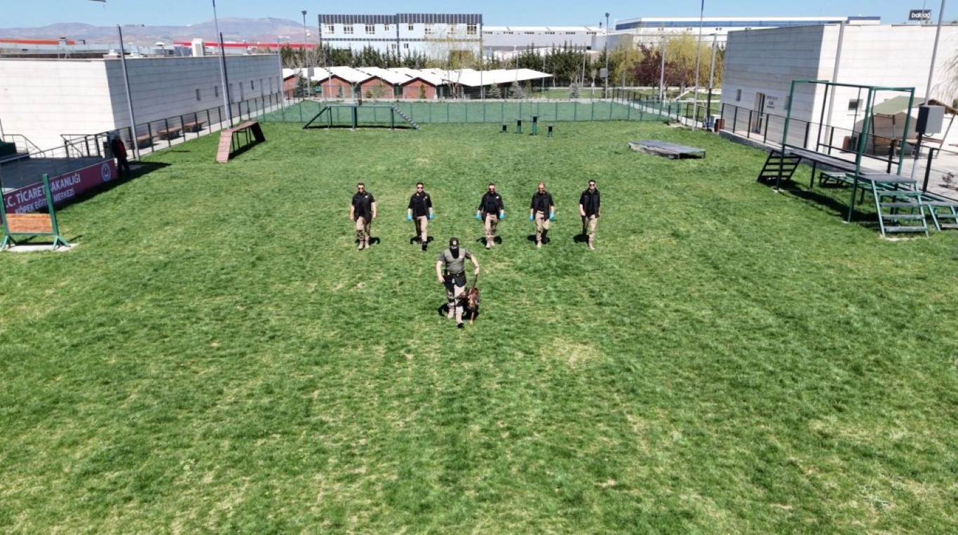 Sınırların gizli kahramanı hassas burun köpekler böyle eğitiliyor