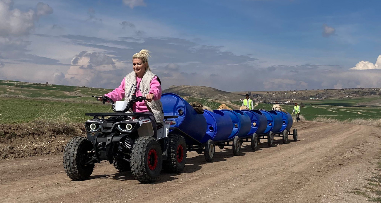 Yaşama Tutunan Patiler Derneği Başkanı Özgünlü hakkında 12 yıl 3 aya kadar hapis talebi