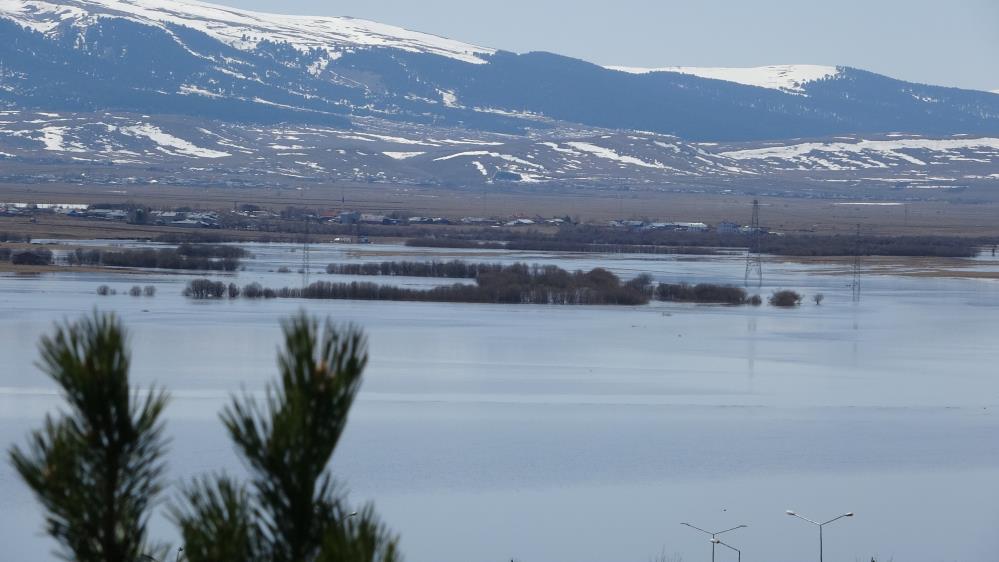 Ardahan ovası nehrin taşmasıyla yeniden sular altında kaldı