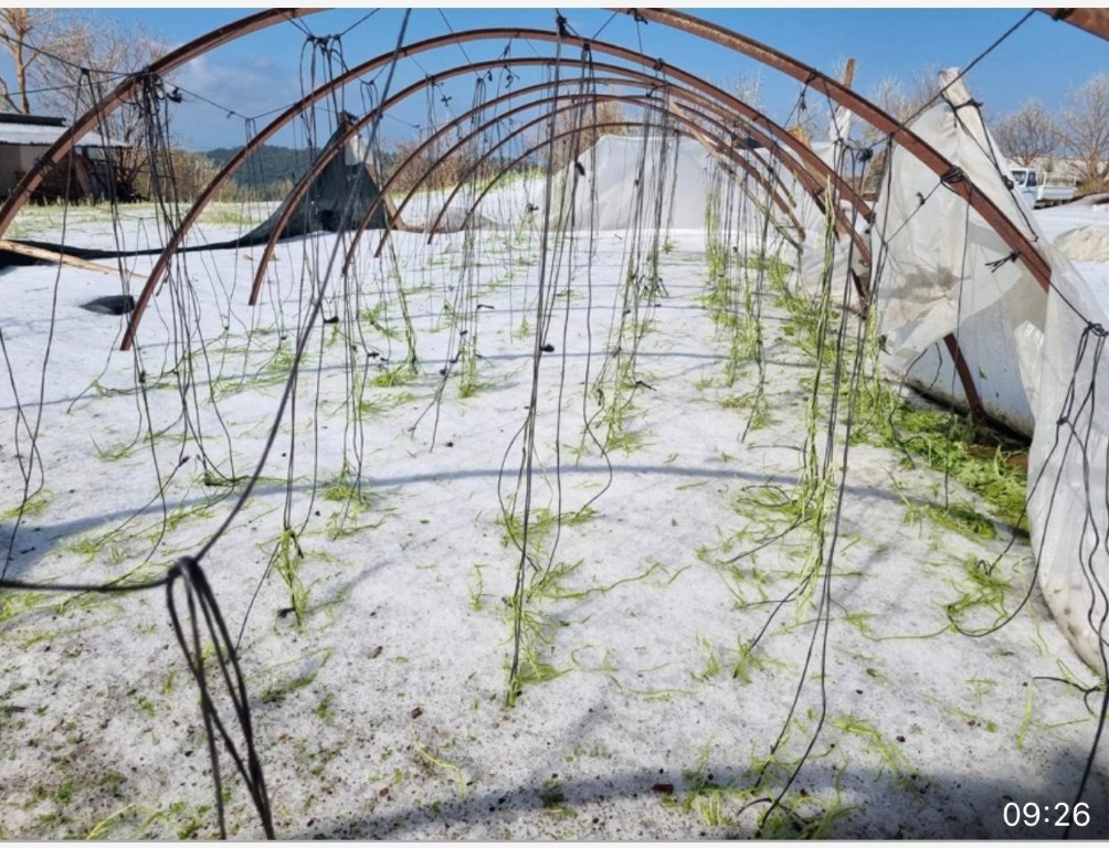 Aniden bastıran dolu yağışı Antalya’yı beyaza bürüdü