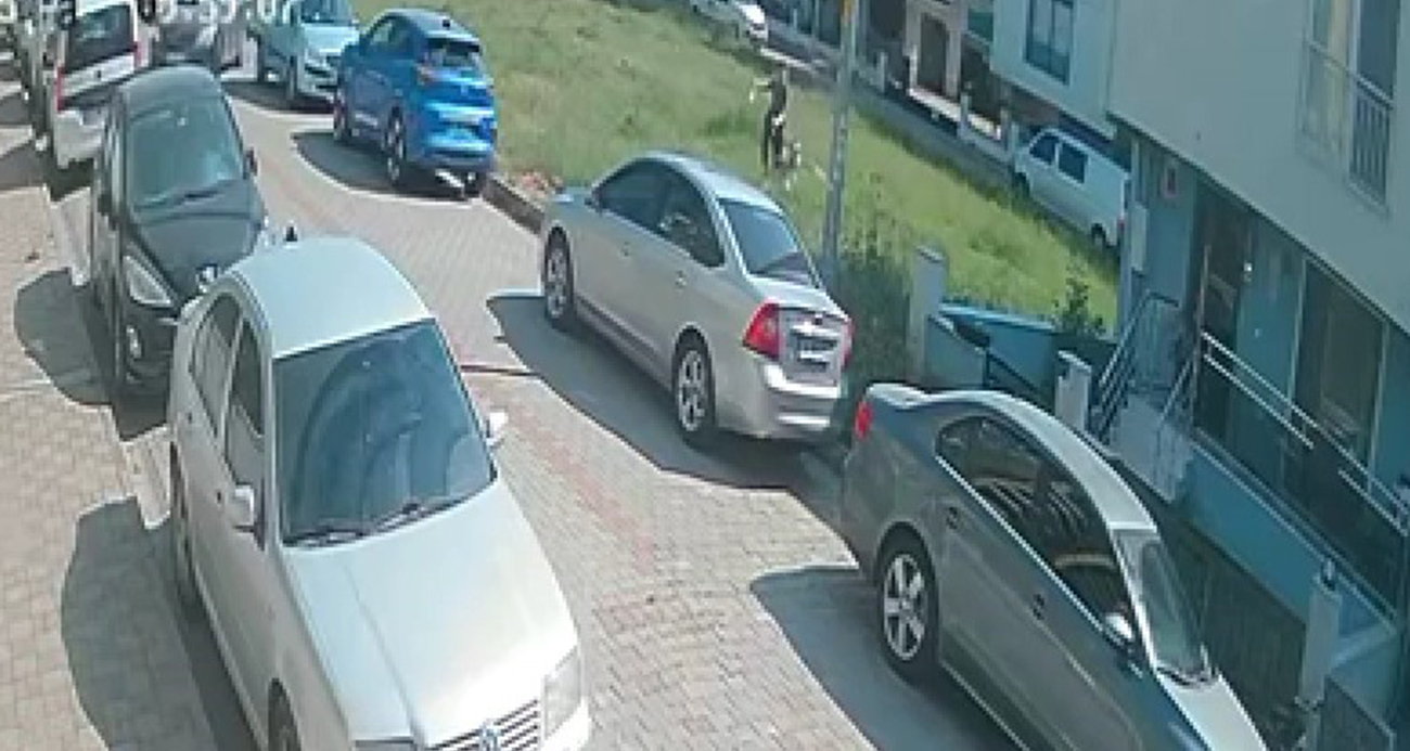 Aydın'da sınava giden öğrenciye köpek saldırdı! Mahalle sakinleri tedirgin