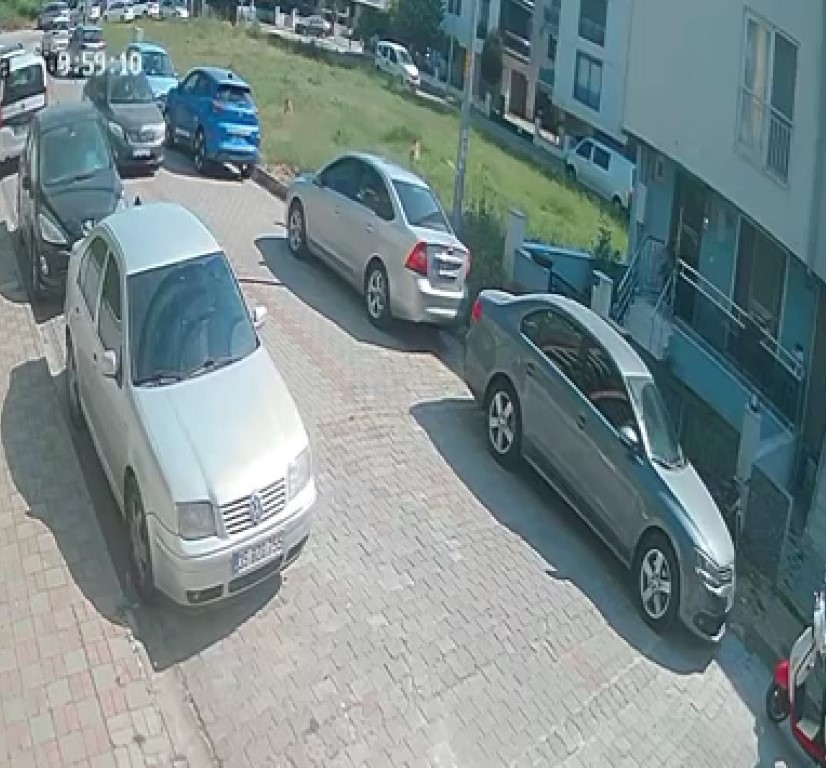 Aydın'da sınava giden öğrenciye köpek saldırdı! Mahalle sakinleri tedirgin