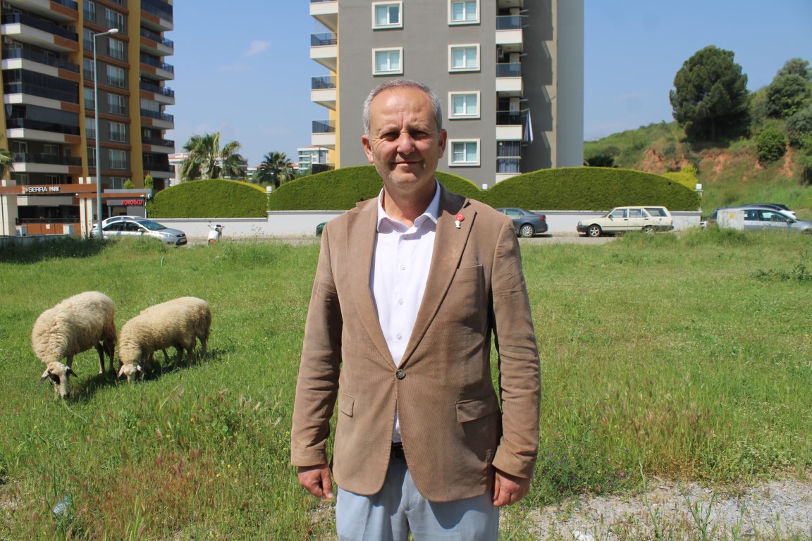 Aydın'da sınava giden öğrenciye köpek saldırdı! Mahalle sakinleri tedirgin