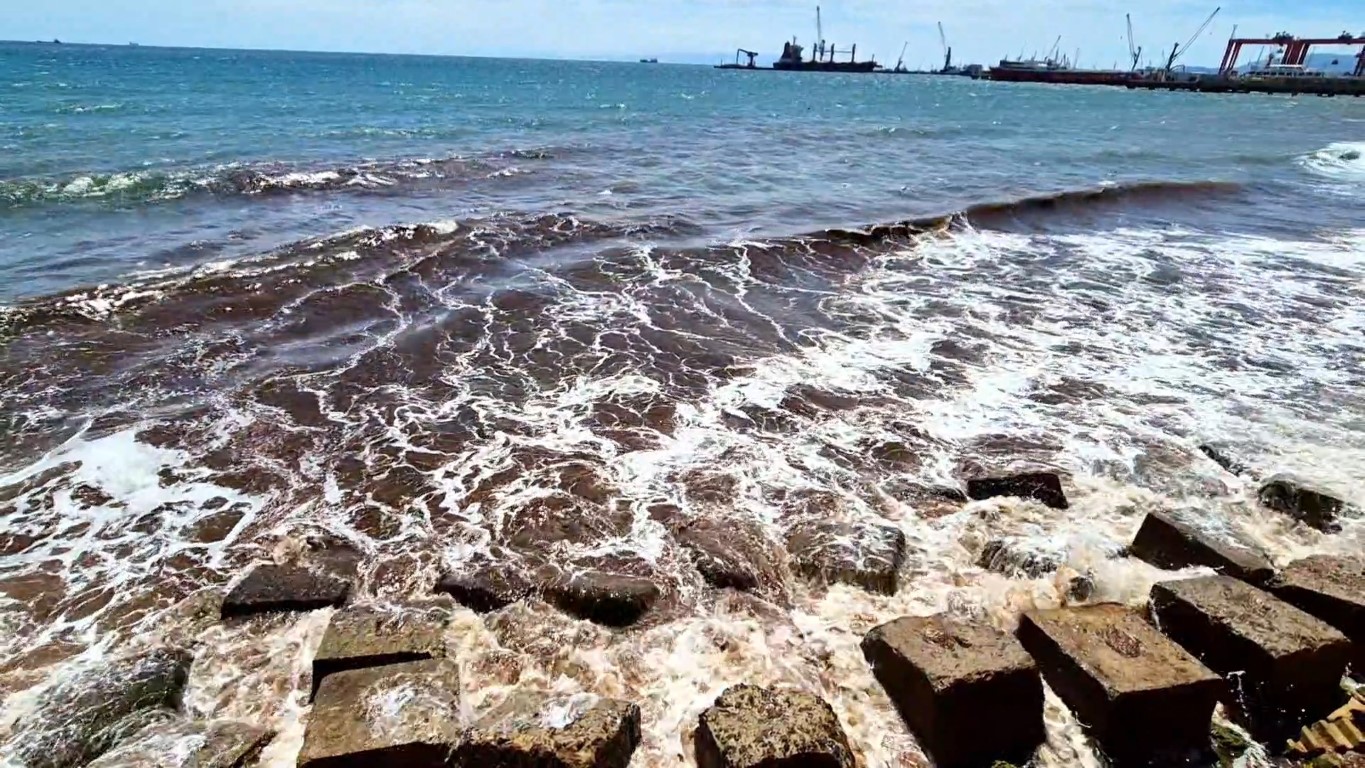 Tekirdağ’da poyraz sonrası deniz yüzeyi kızıl yosunla kaplandı