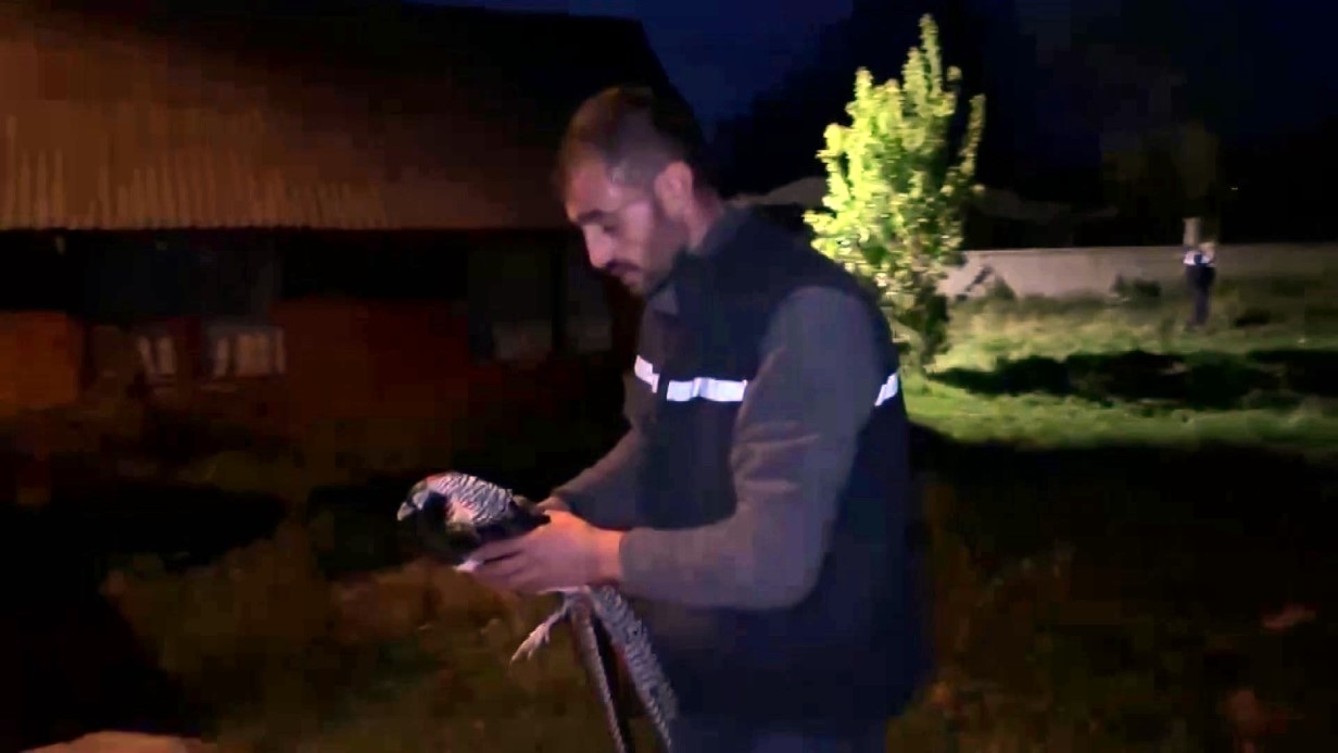 Hayvanat bahçesi gibi ev: Evinden çıkanlar hayrete düşürdü