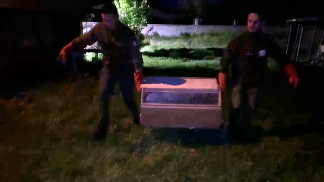 Hayvanat bahçesi gibi ev: Evinden çıkanlar hayrete düşürdü