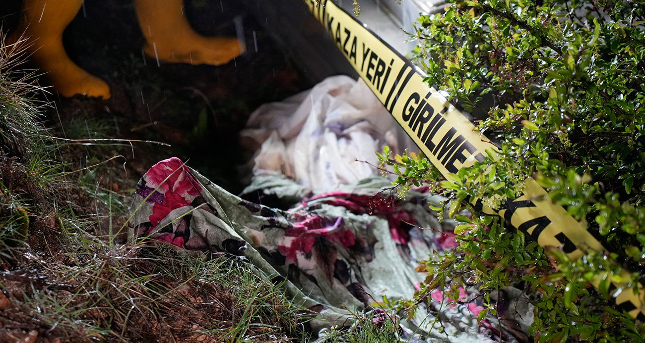 Gümüşhane’de ayılar bu kez mezarlığa dadandı