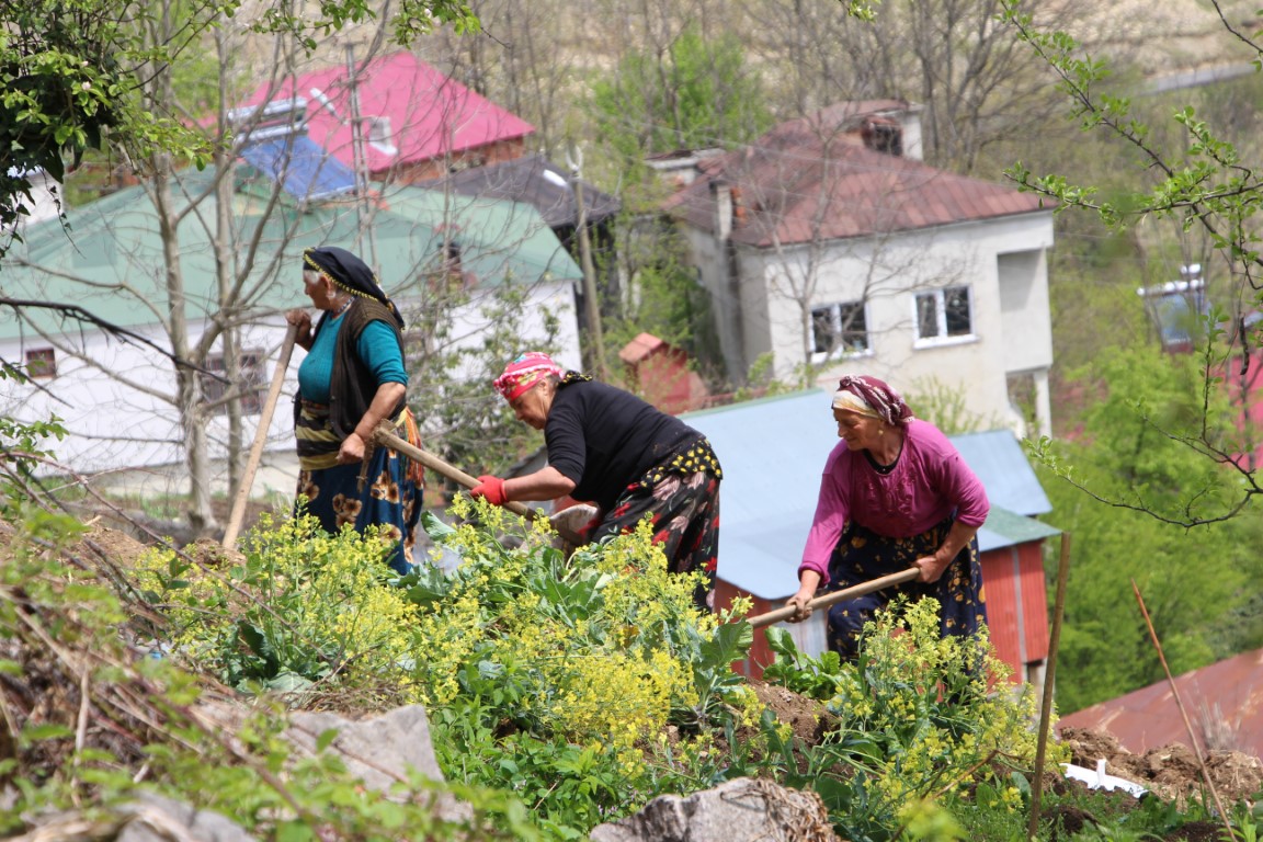 Karadeniz kadınının zorlu mesaisi başladı