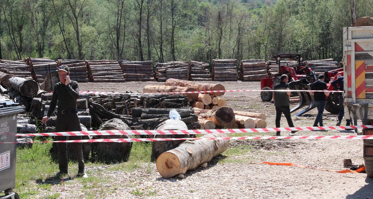 Tonlarca tomruk üzerine devrildi, hastanede hayatını kaybetti