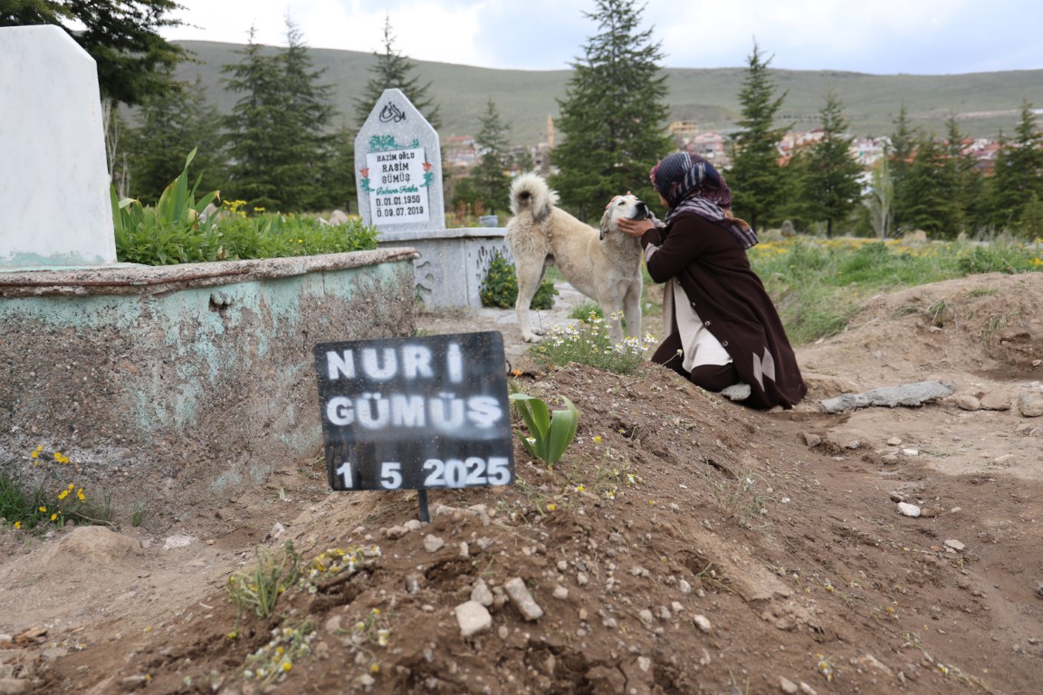 ’Garip’in vefası: Ölen sahibinin mezarından ayrılmıyor