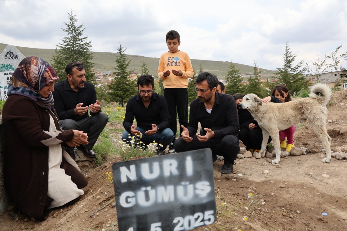 ’Garip’in vefası: Ölen sahibinin mezarından ayrılmıyor