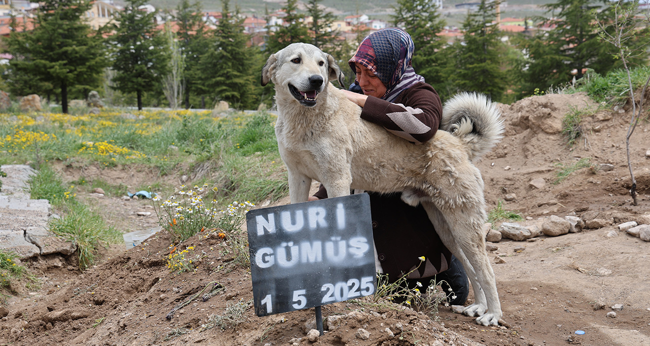 Ölen sahibinin mezarından ayrılmıyor