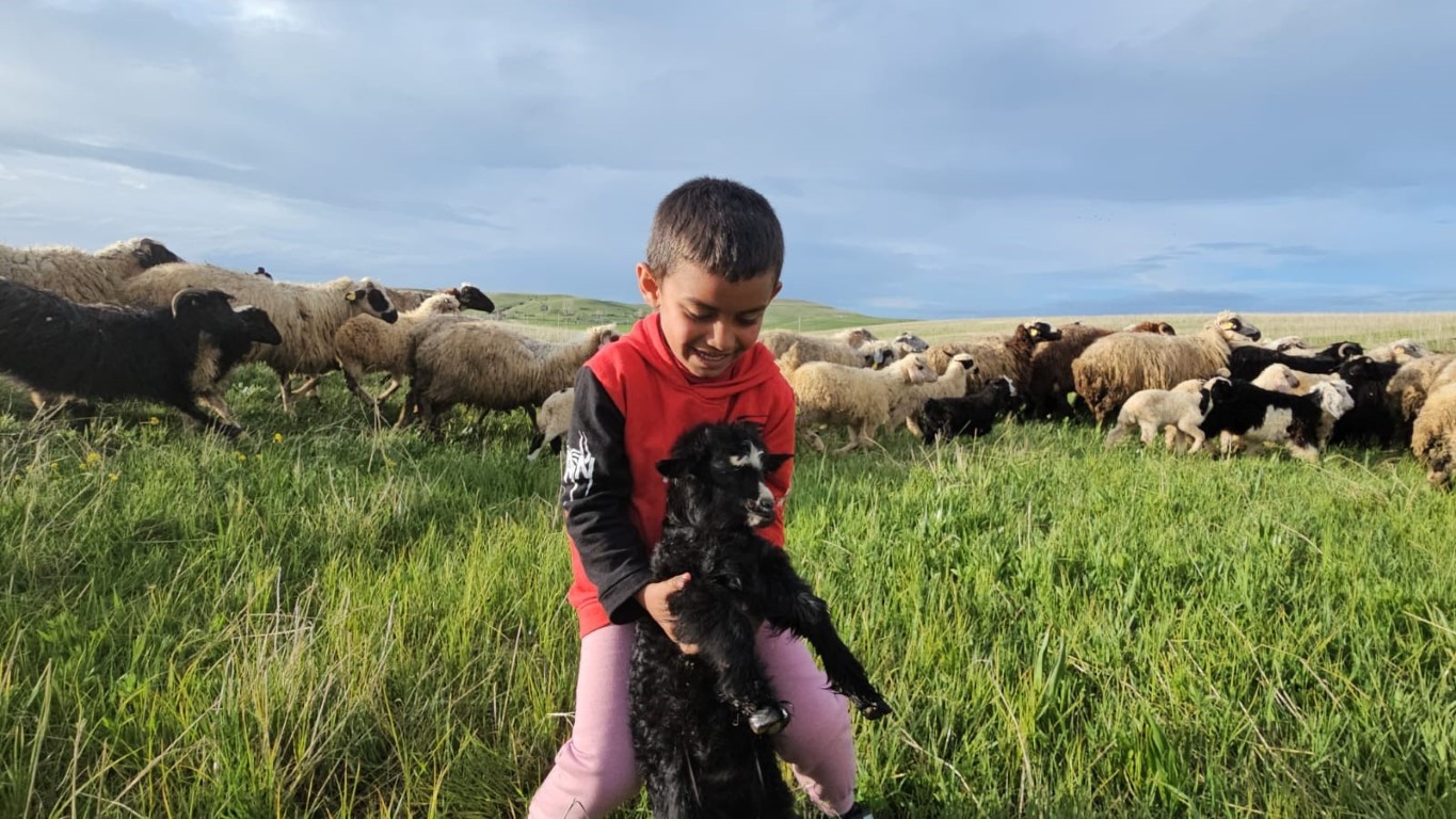 Adilcevaz’da yayla zamanı: Besiciler 7 aylık göçe başladı