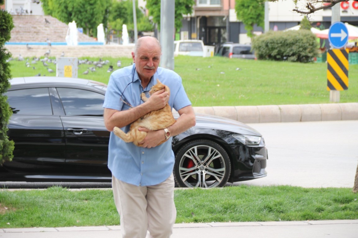 Kedisini veterinere yetiştirmeye çalışırken trafik cezası yedi, itiraz etti