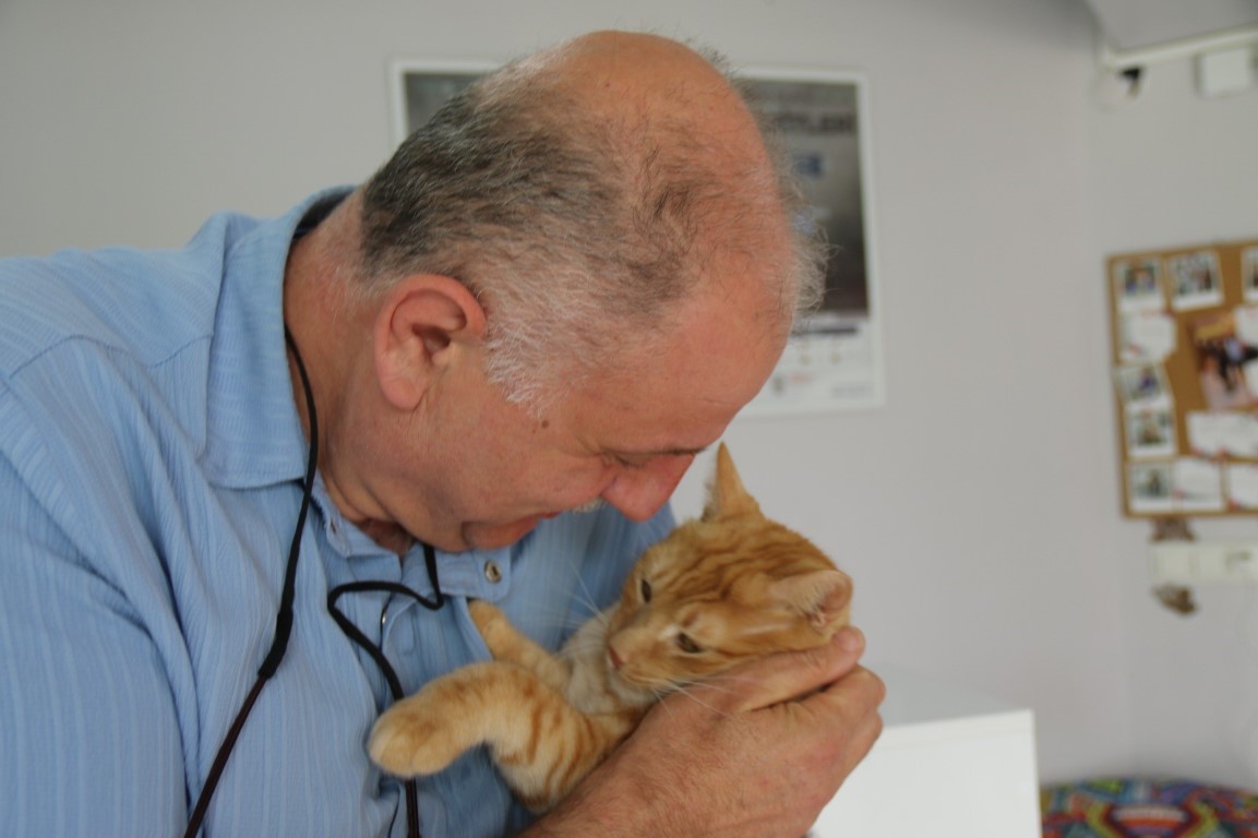 Kedisini veterinere yetiştirmeye çalışırken trafik cezası yedi, itiraz etti