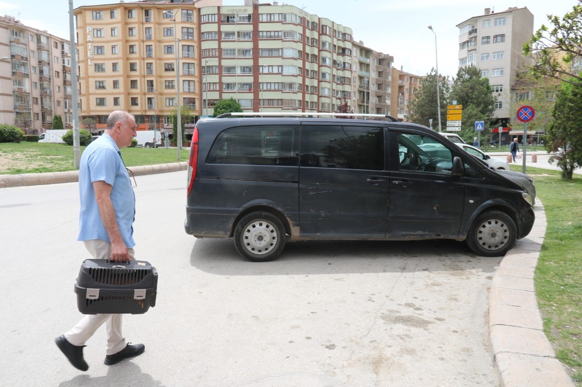Kedisini veterinere yetiştirmeye çalışırken trafik cezası yedi, itiraz etti