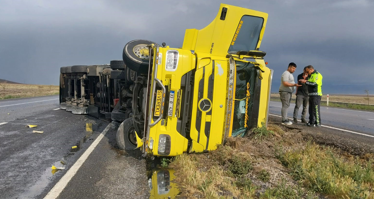 Tır devrildi, anguslar kayboldu