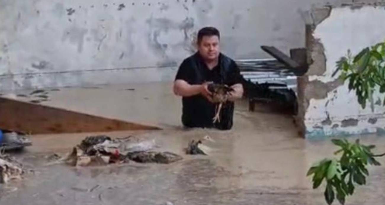 Sel sularına kapılan tavuklarını kurtarmak için kümesine koştu