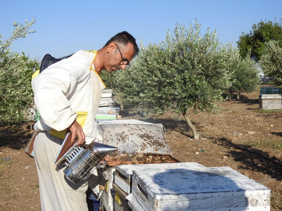 Doktorun annesine bal tavsiyesi hayatını değiştirdi