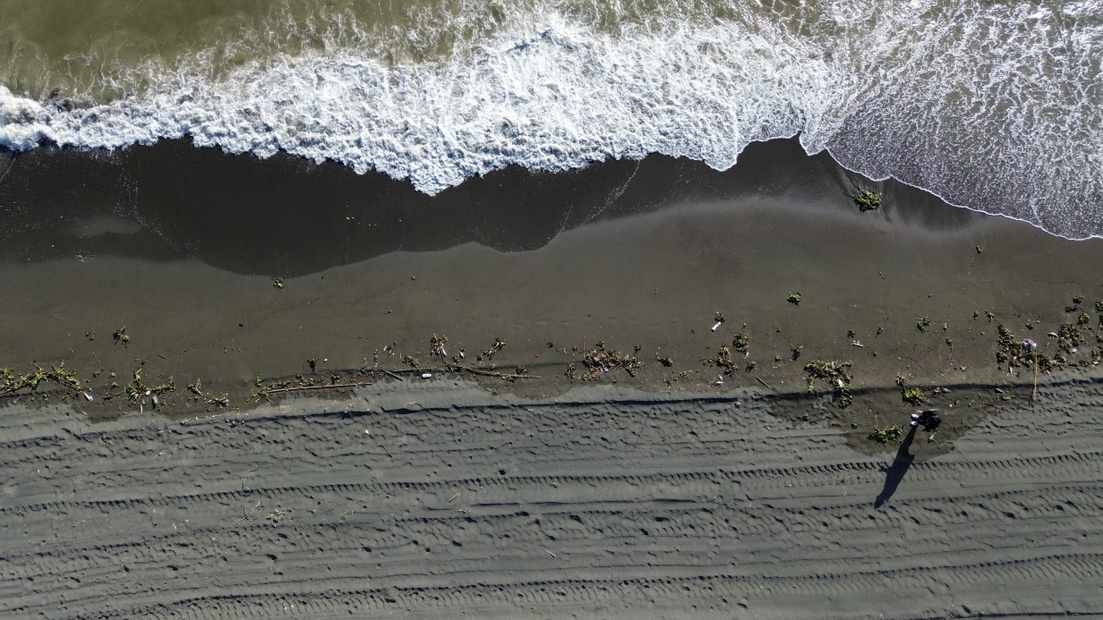 Aşırı yağışla birlikte denize sürüklenen binlerce tatlı su balığı, tuzlu suda telef oldu