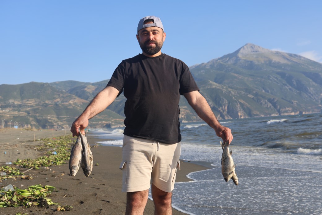 Aşırı yağışla birlikte denize sürüklenen binlerce tatlı su balığı, tuzlu suda telef oldu