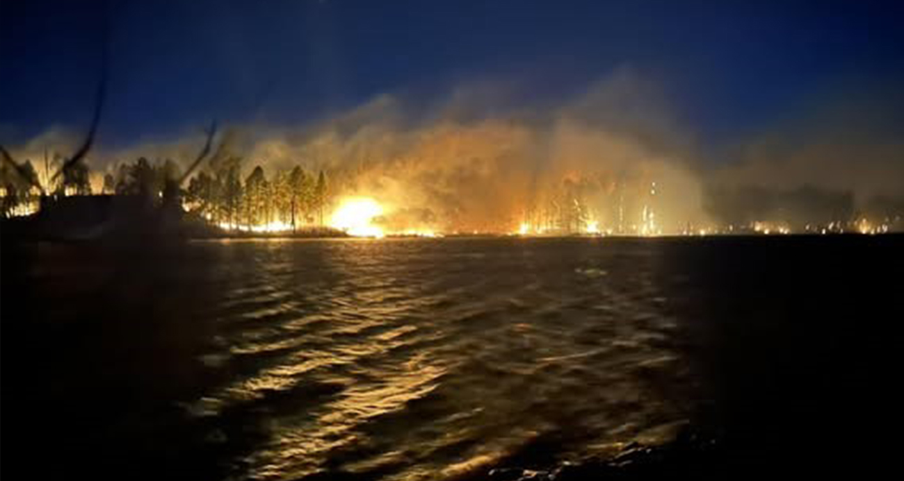 ABD'de orman yangını: 20 bin 425 dönümlük alan kül oldu