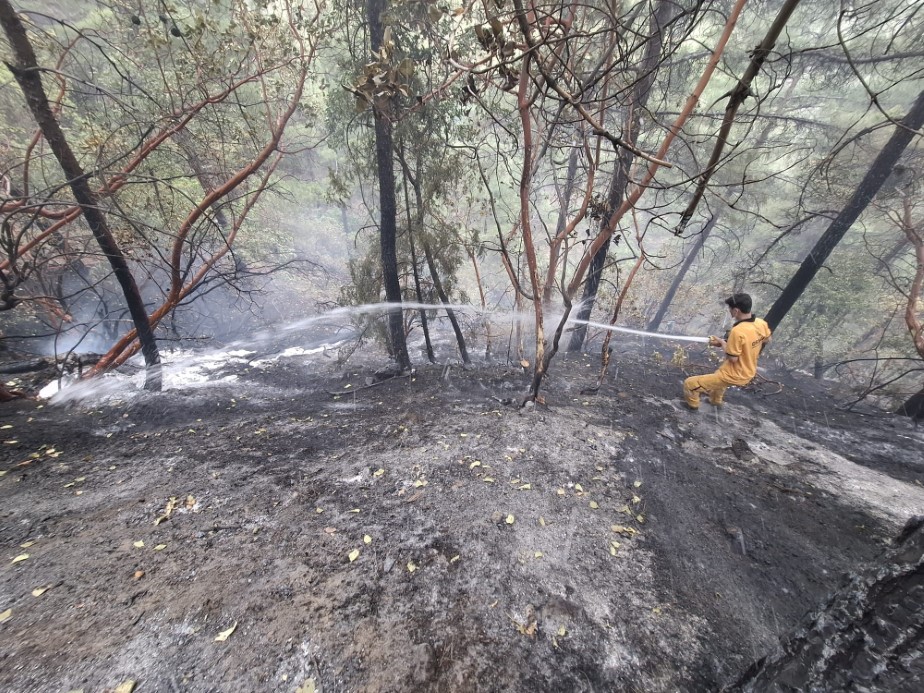 Kahramanmaraş’taki orman yangını kontrol altına alındı: 5,5 hektar zarar gördü