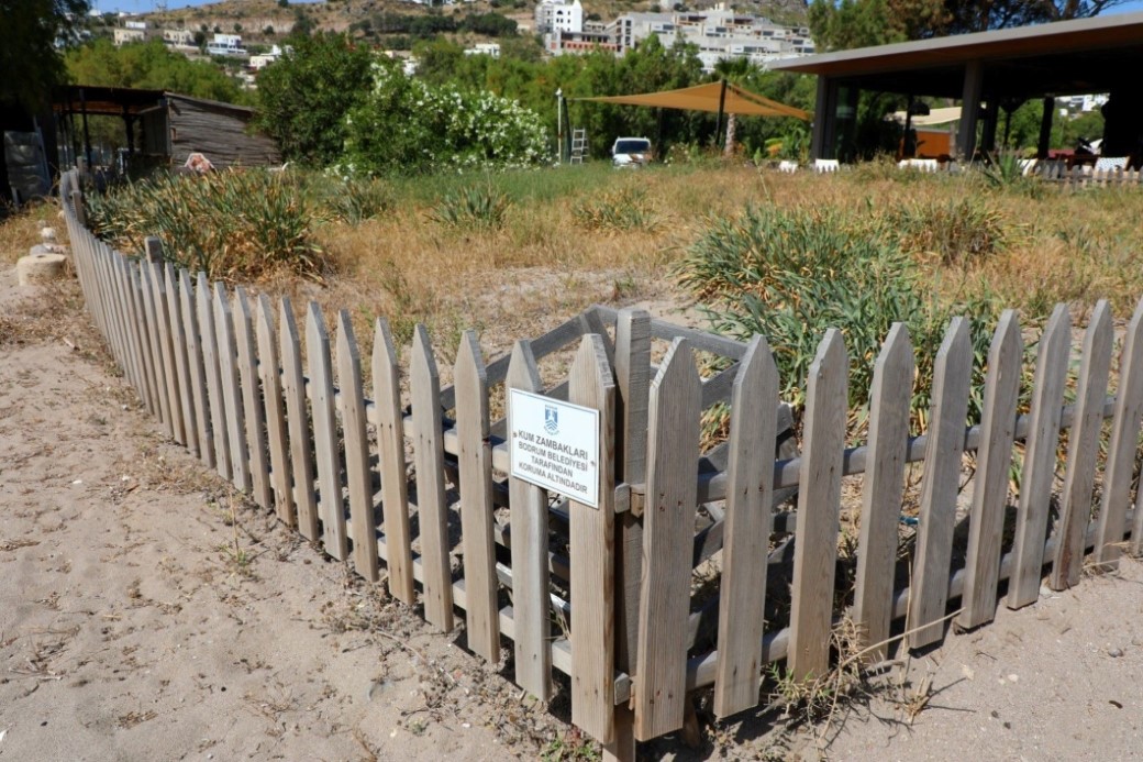 Nesli tükeniyor, koparmanın cezası 387 bin TL