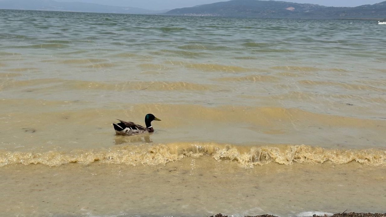 İznik Gölü’nde endişelendiren görüntü